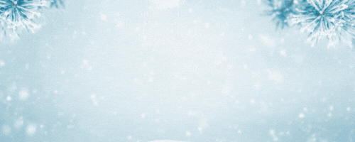 spasweety-hyderabad-2026-new-year